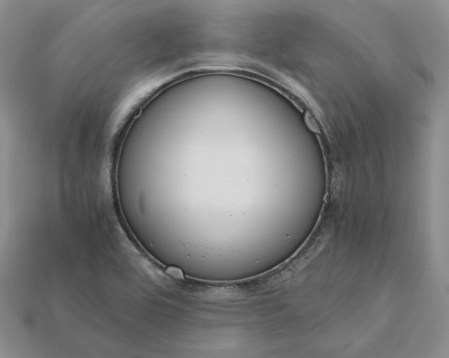 X0000115181464200911121750