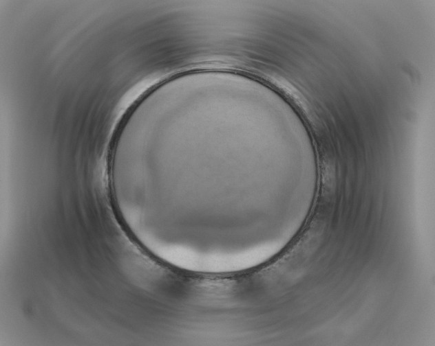 X0000115181466200911121750