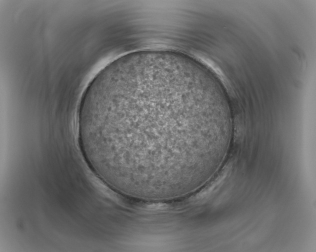 X0000115181467200911121750