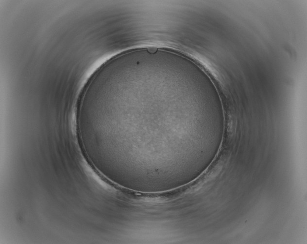 X0000115181468200911121750