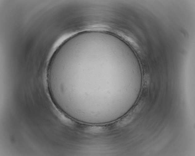 X0000115181470200911121750