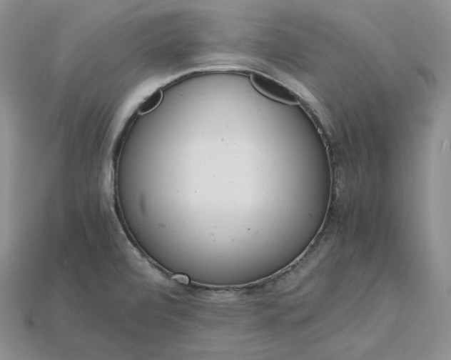 X0000115181472200911121750