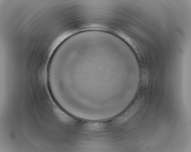 X0000115181474200911121750