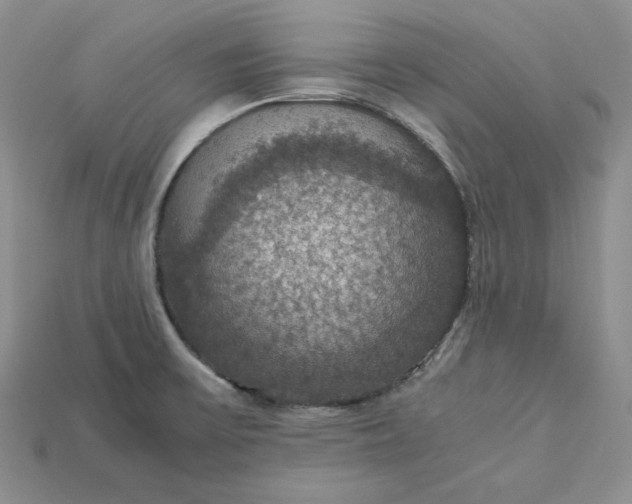 X0000115181475200911121750