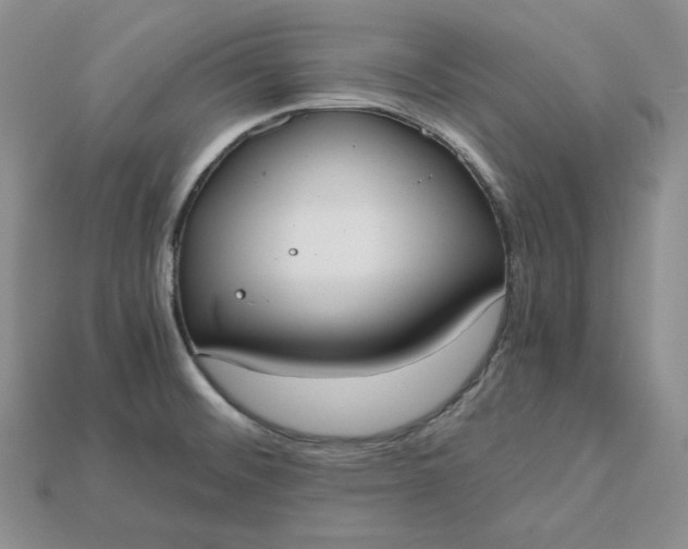 X0000115181476200911121750