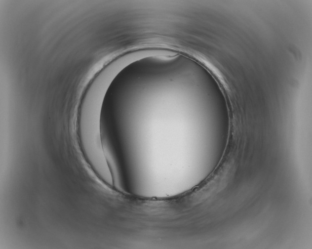X0000115181477200911121750