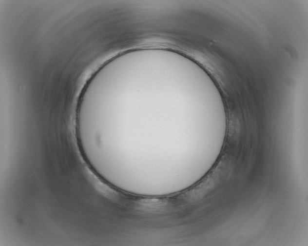 X0000115181478200911121750