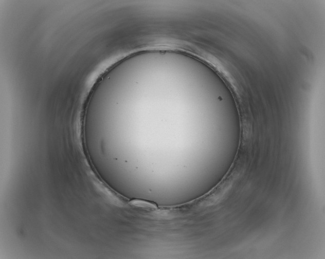 X0000115181480200911121750