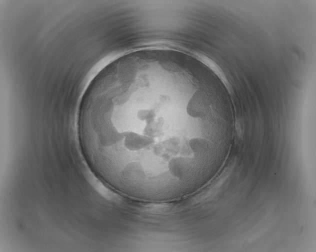 X0000115181482200911121750