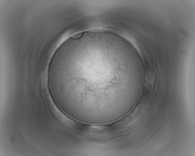 X0000115181483200911121750