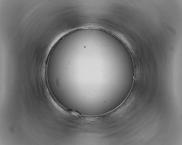 X0000115181484200911121750
