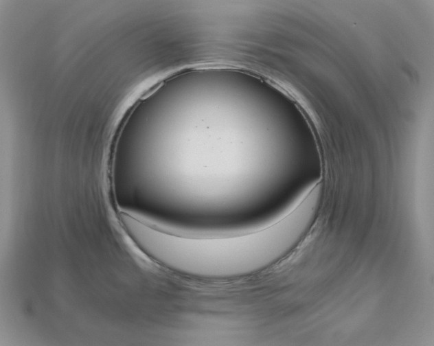 X0000115181485200911121750