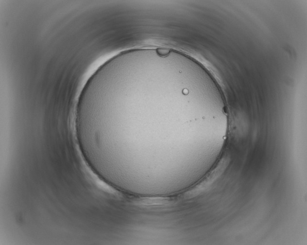 X0000115181486200911121750