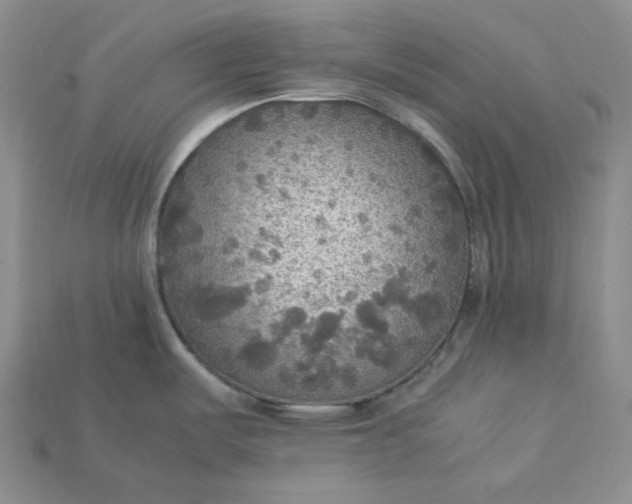 X0000115181487200911121750