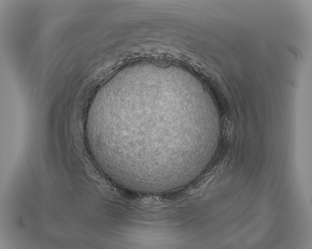 X0000115181489200911121749
