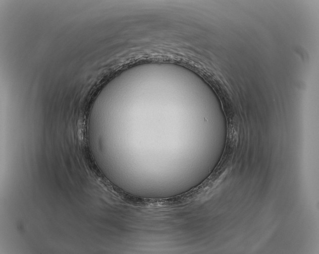 X0000115181490200911121749