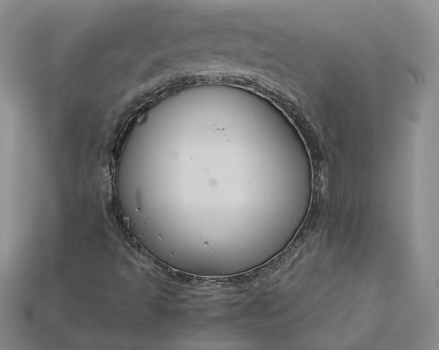 X0000115181493200911121749