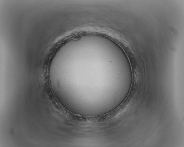 X0000115181494200911121749