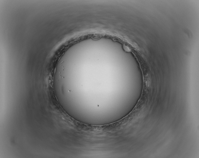 X0000115181495200911121749