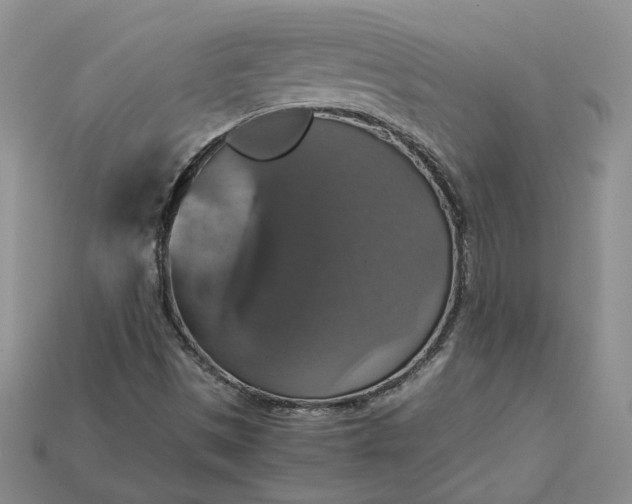 X0000115181497200911121750
