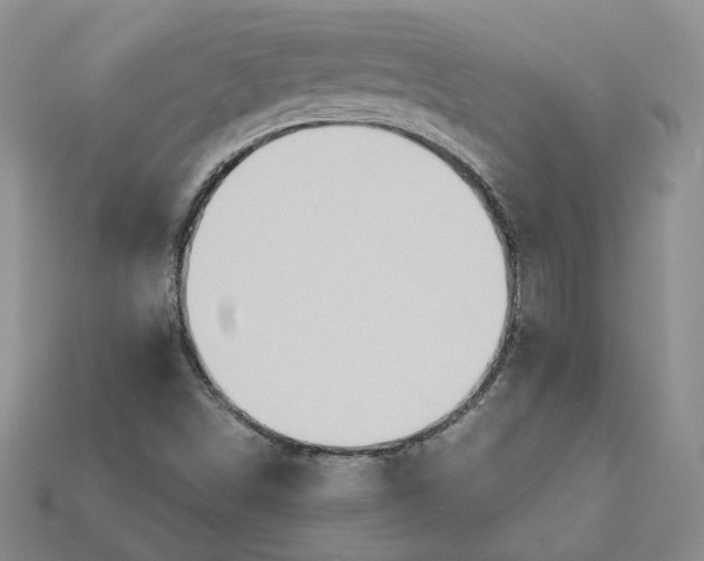 X0000115181498200911121750