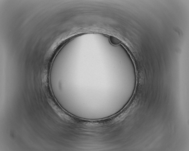 X0000115181499200911121750