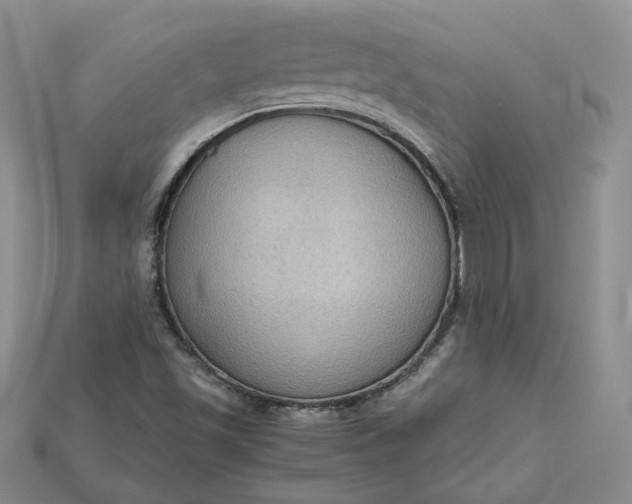 X0000115181501200911121750