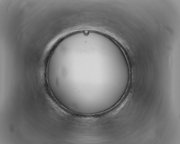 X0000115181502200911121750