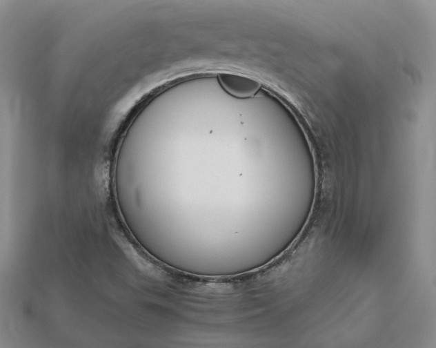X0000115181503200911121750