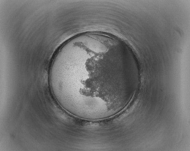 X0000115181505200911121750