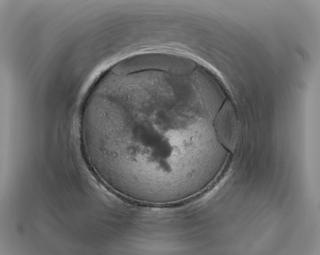 X0000115181506200911121750