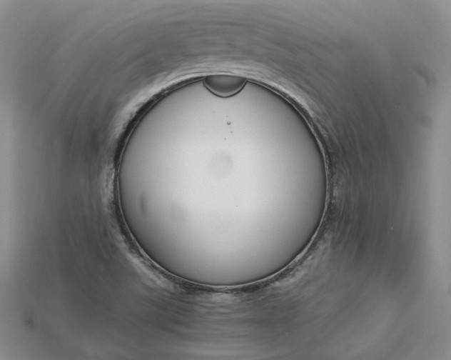 X0000115181507200911121750