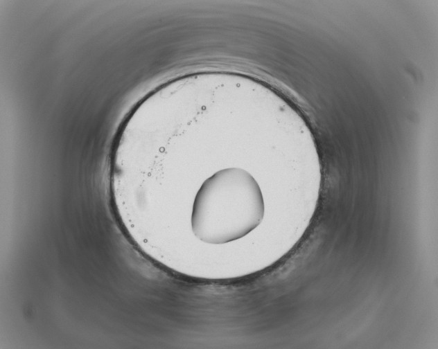 X0000115181514200911121750
