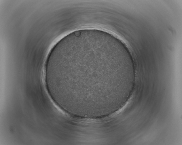X0000115181517200911121750