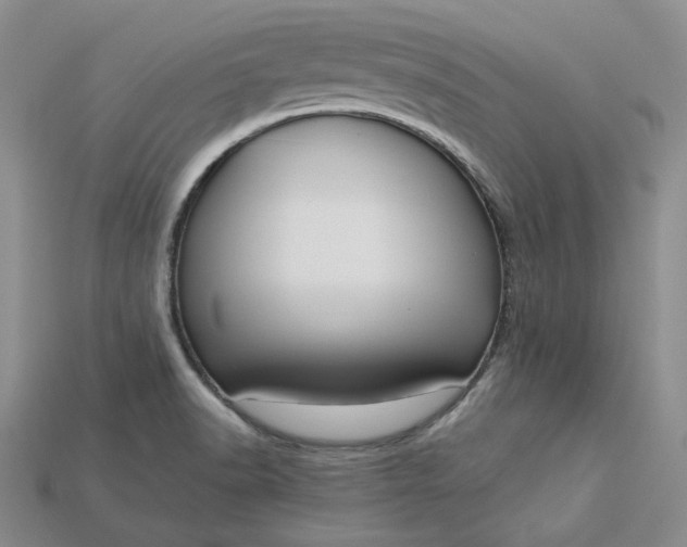 X0000115181518200911121750