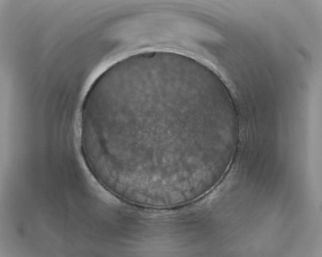 X0000115181522200911121750