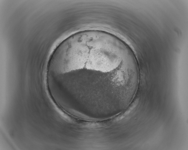 X0000115181525200911121750