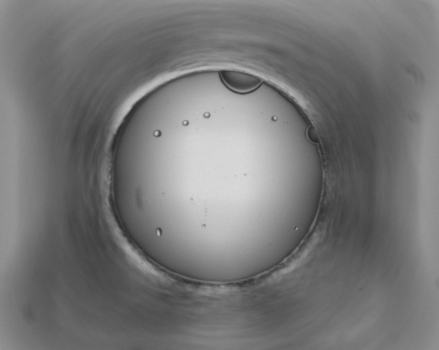 X0000115181526200911121750
