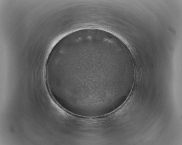 X0000115181527200911121750