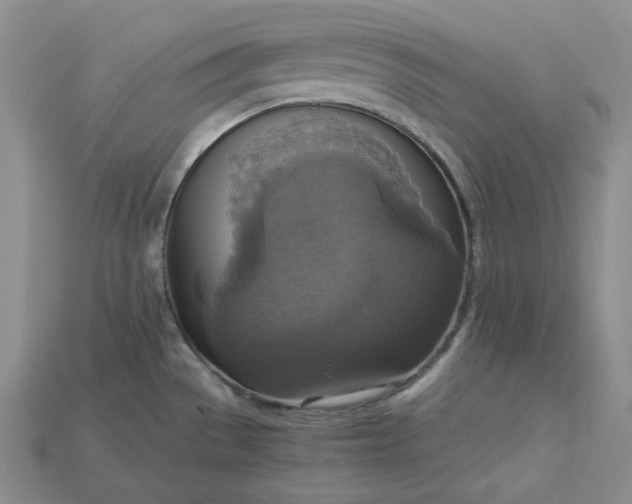 X0000115181529200911121750