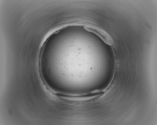 X0000115181530200911121750