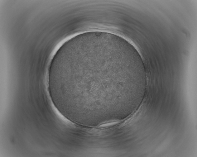 X0000115181531200911121750