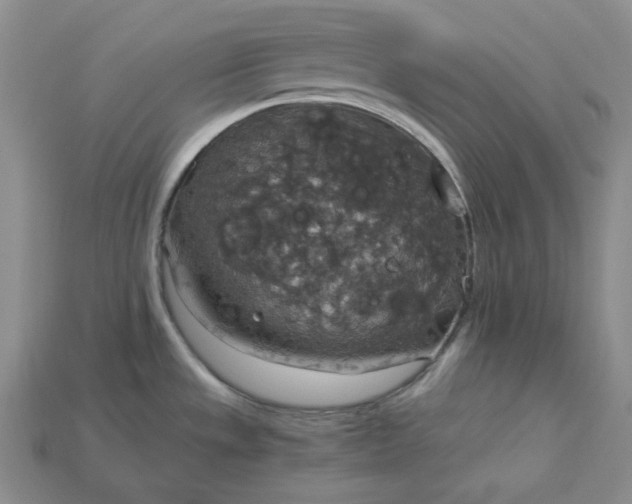 X0000115181533200911121750
