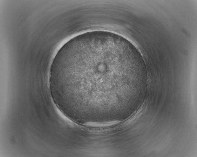 X0000115181535200911121750
