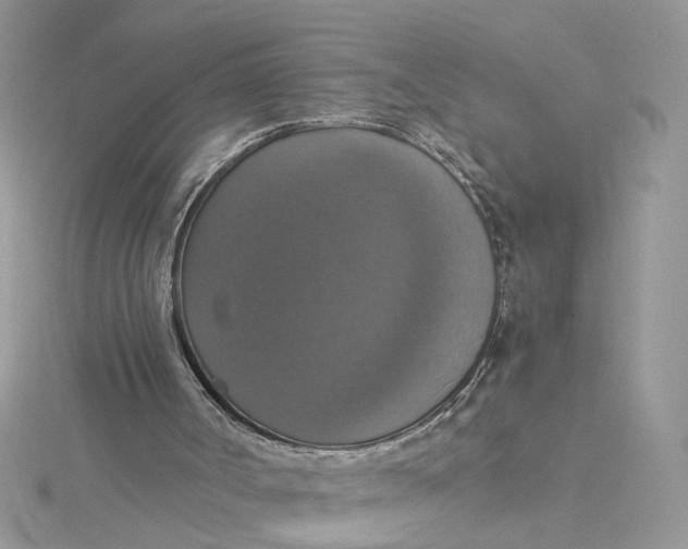 X0000115180002200911181436