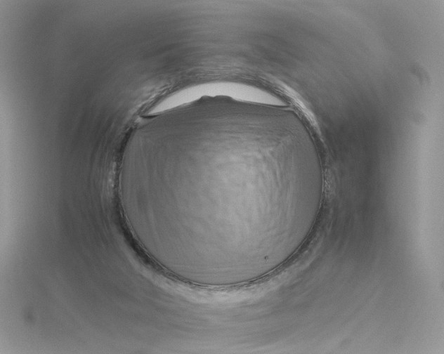 X0000115180018200911181436