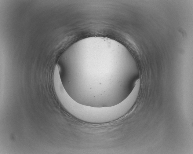 X0000115180029200911181436