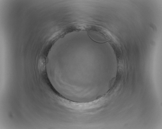 X0000115180043200911181436