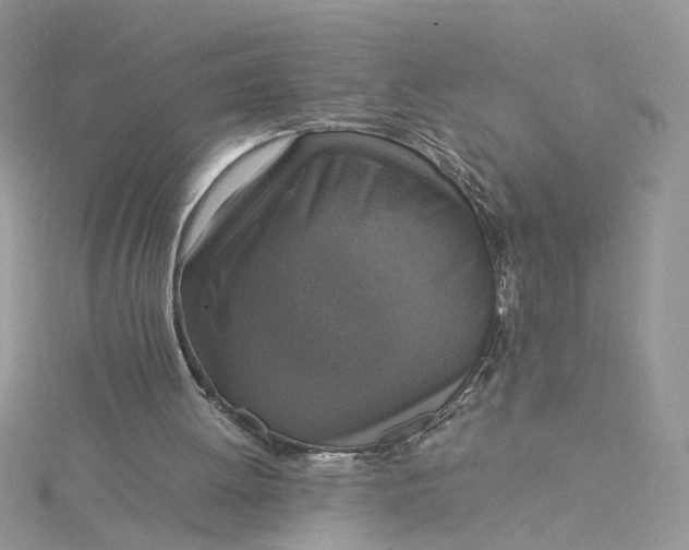 X0000115180052200911181435