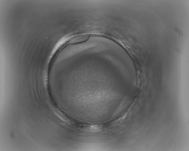 X0000115180056200911181435
